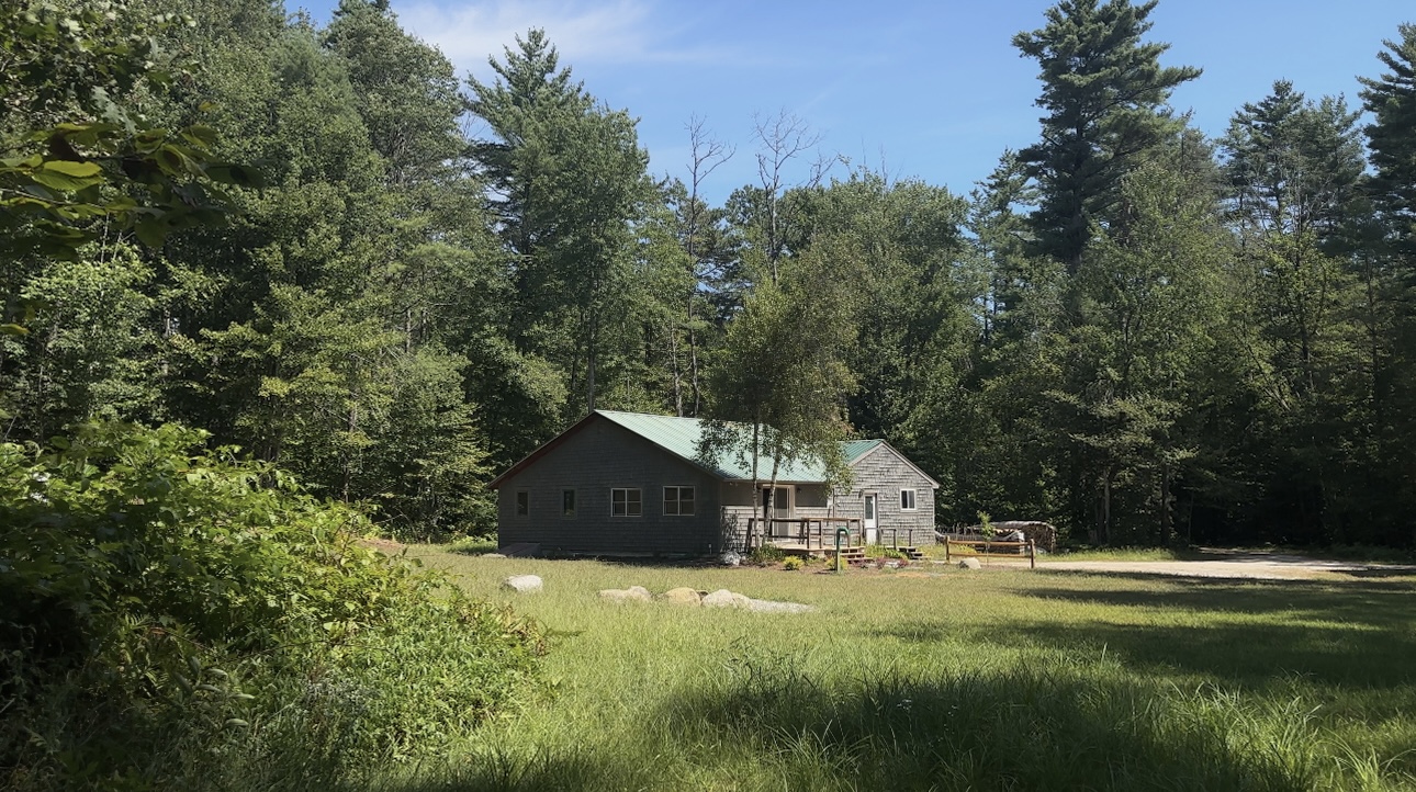The Birch House - a cozy cabin surrounded by forest